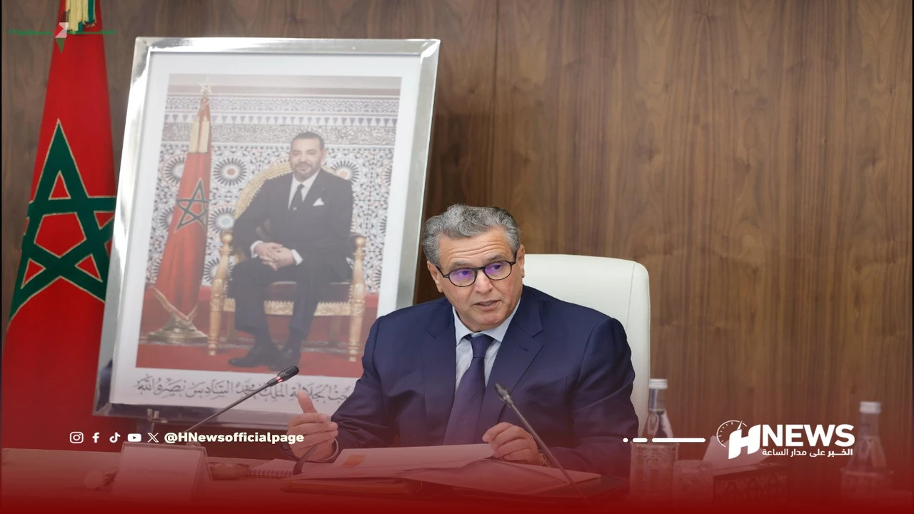 أخنوش يكشف عن خطوات جديدة لخفض أسعار الأضاحي